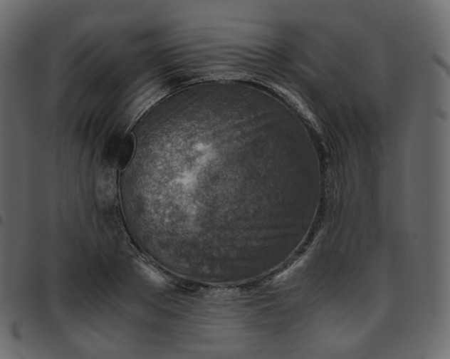 X0000095690889200801221245