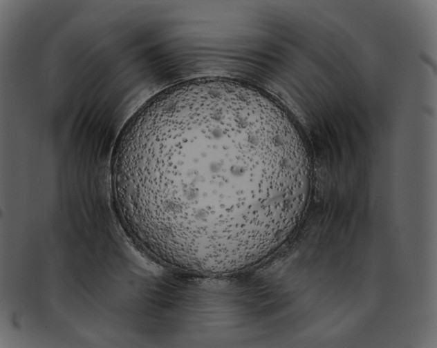 X0000095690890200801221245