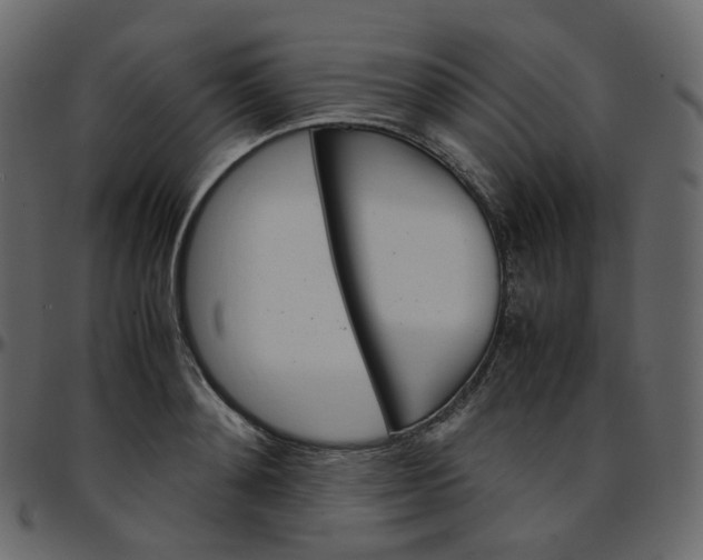 X0000095690892200801221245