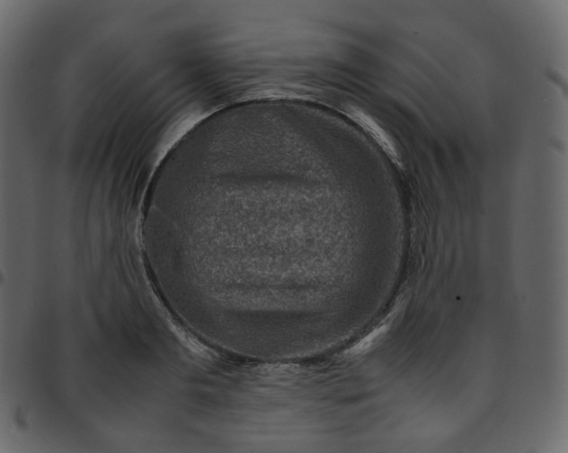 X0000095690893200801221245