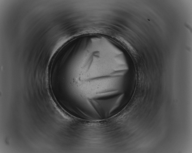 X0000095690894200801221245