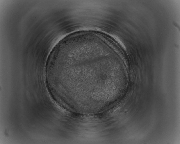 X0000095690895200801221245