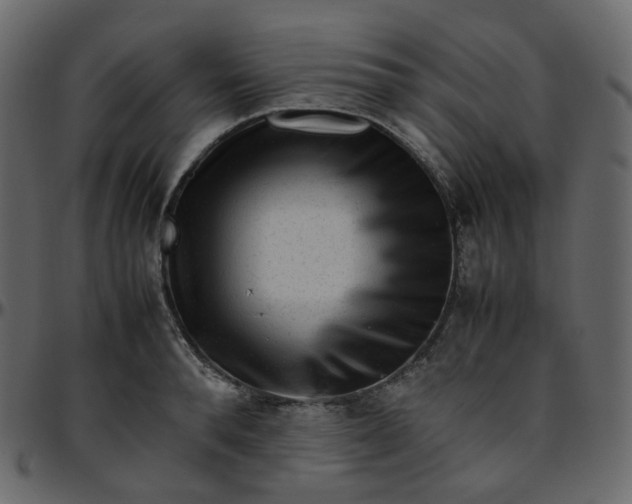 X0000095690896200801221245