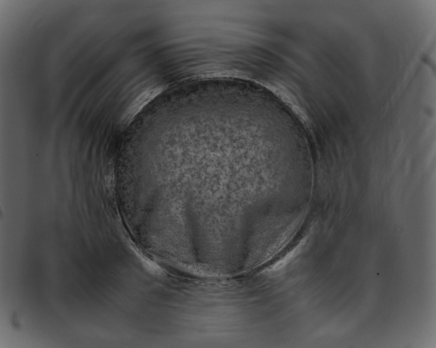 X0000095690897200801221245