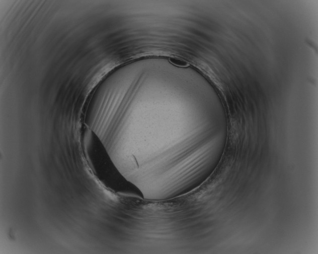 X0000095690898200801221245