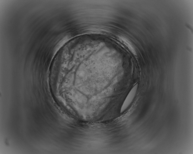 X0000095690899200801221245