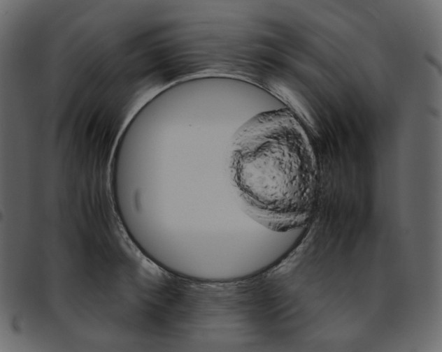 X0000095690900200801221245