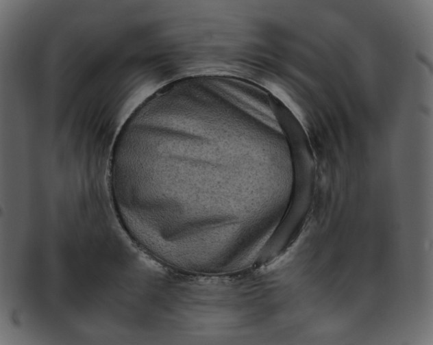 X0000095690901200801221245