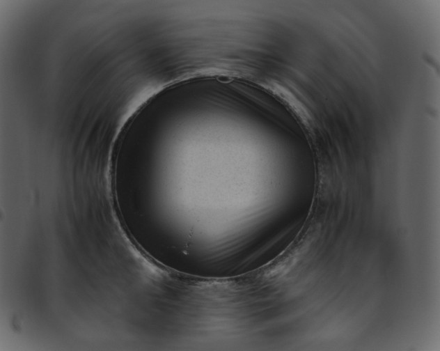 X0000095690902200801221245