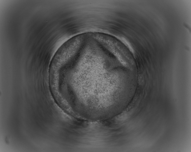 X0000095690903200801221245