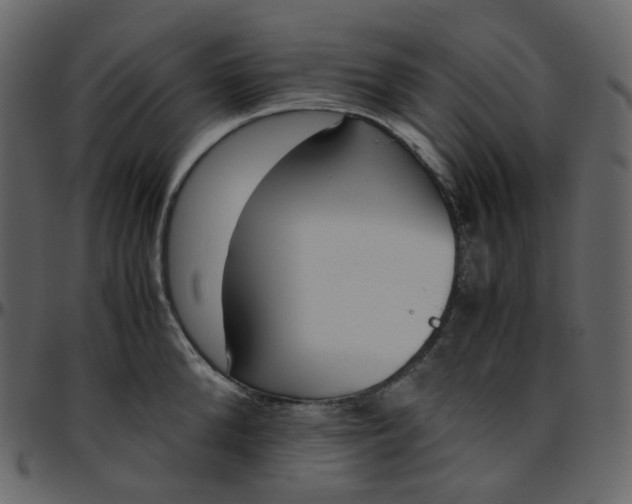 X0000095690904200801221245