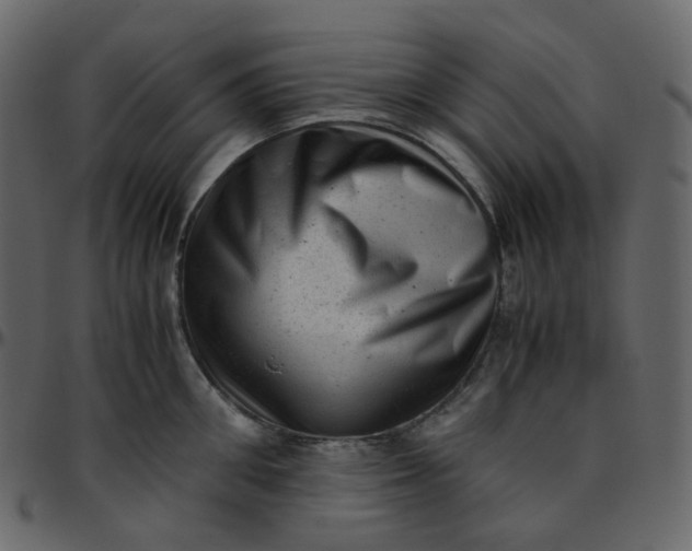 X0000095690906200801221245