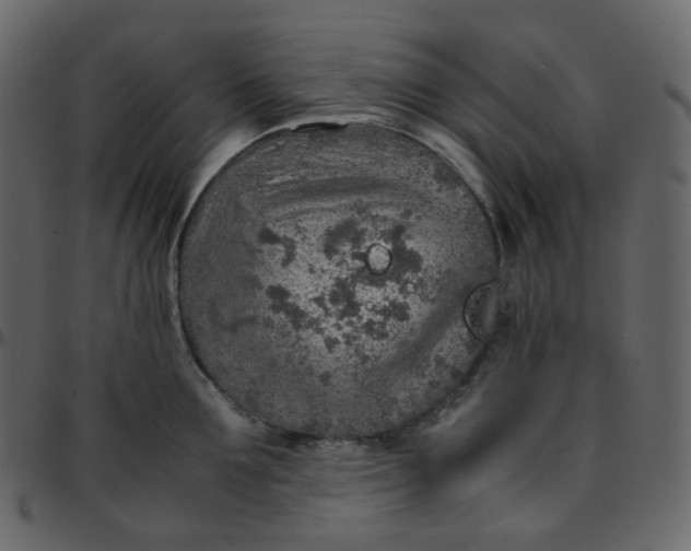 X0000095690907200801221245