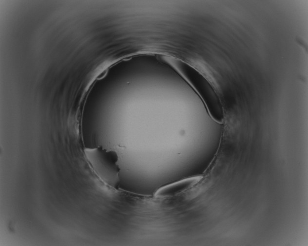 X0000095690908200801221245