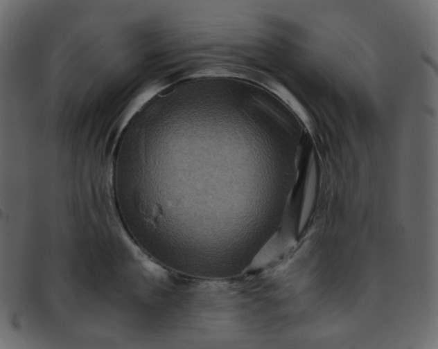 X0000095690909200801221245