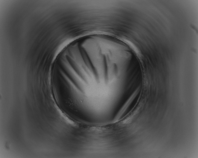 X0000095690910200801221245