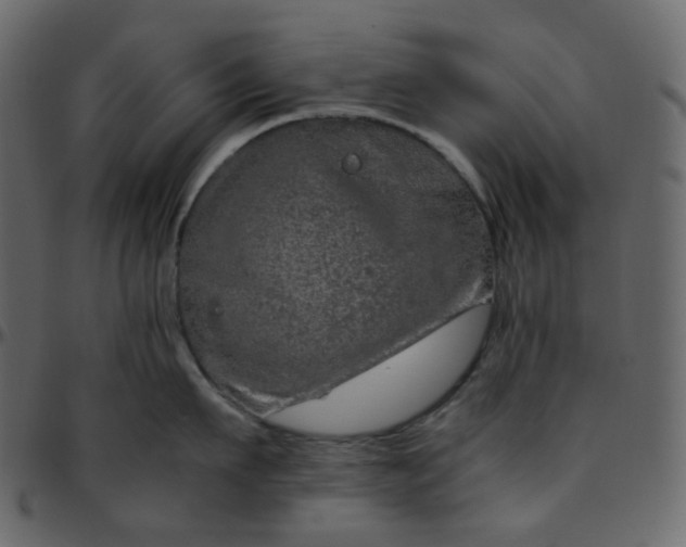 X0000095690911200801221245