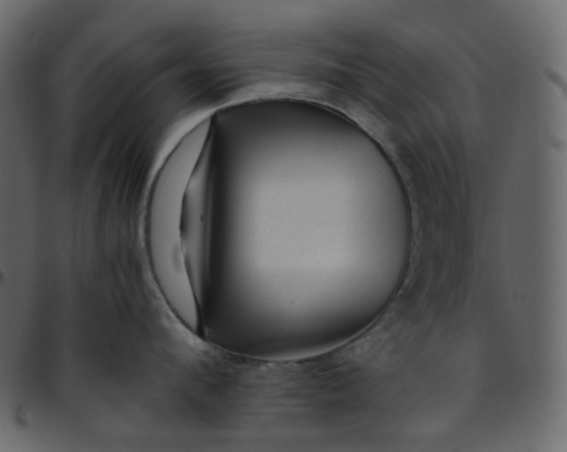 X0000095690912200801221245