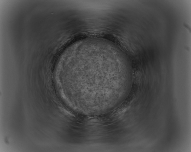 X0000095690913200801221244