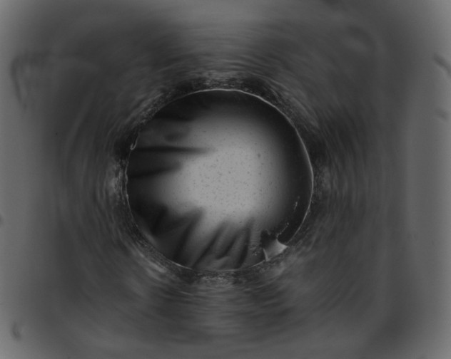 X0000095690914200801221244