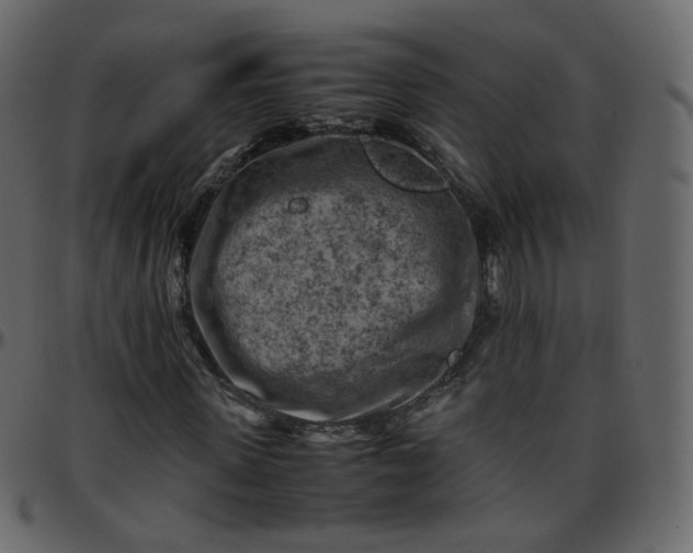 X0000095690915200801221244