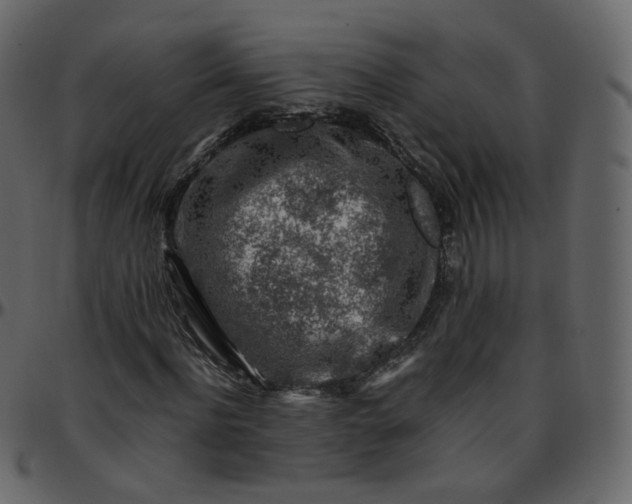 X0000095690916200801221244