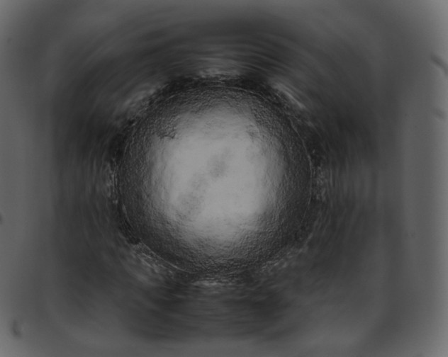 X0000095690917200801221244