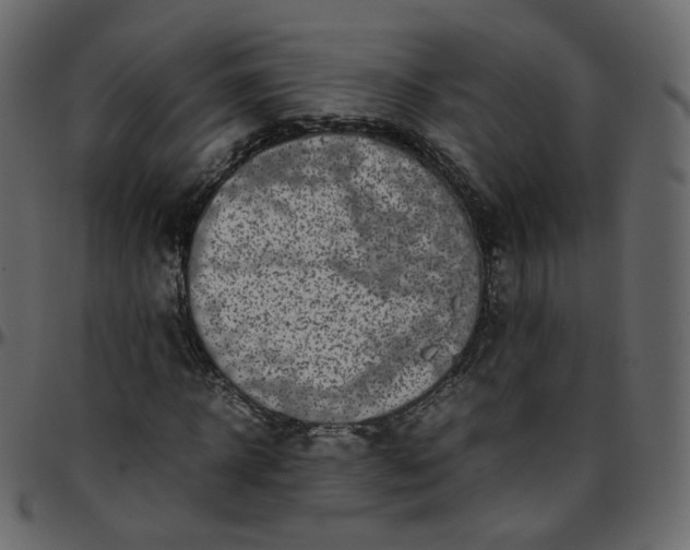 X0000095690918200801221244