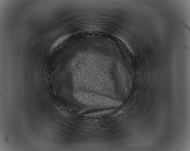 X0000095690919200801221244