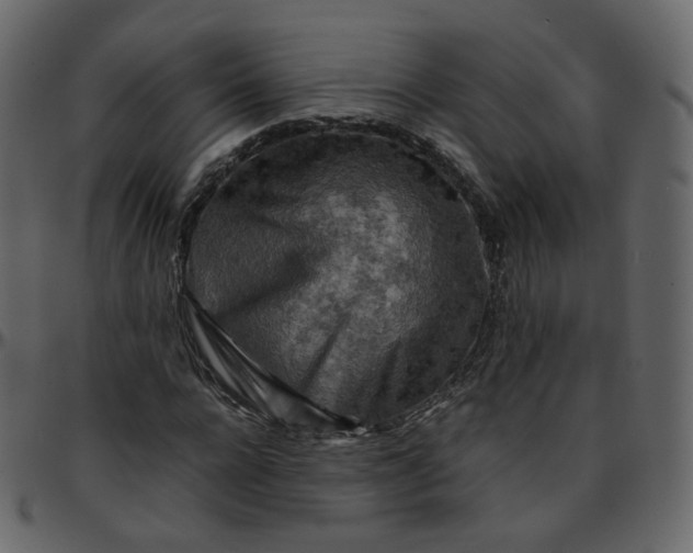 X0000095690920200801221244