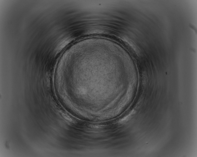 X0000095690921200801221244