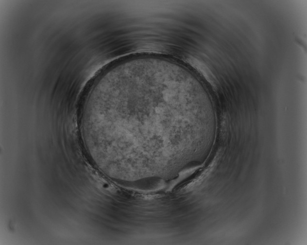 X0000095690923200801221244