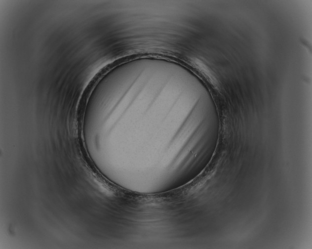 X0000095690924200801221244