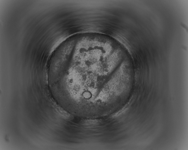 X0000095690925200801221244