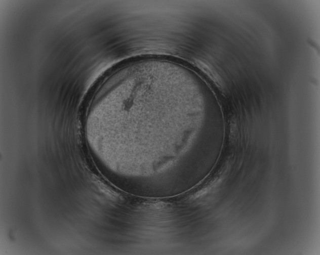 X0000095690926200801221244