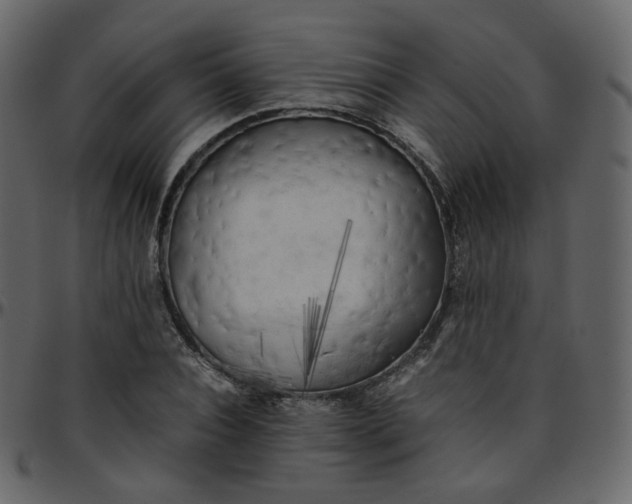 X0000095690928200801221244