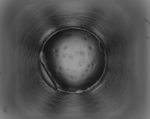 X0000095690930200801221244