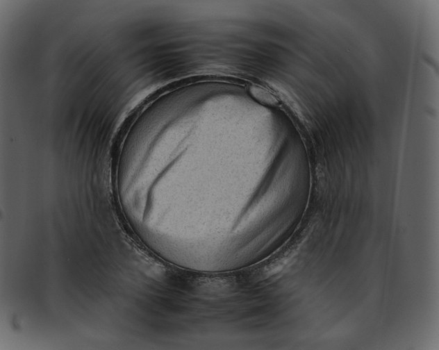 X0000095690931200801221244