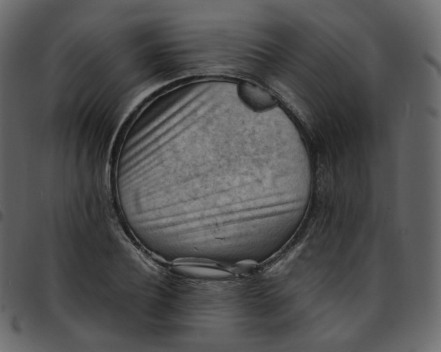 X0000095690932200801221244