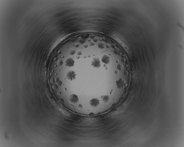 X0000095690933200801221244