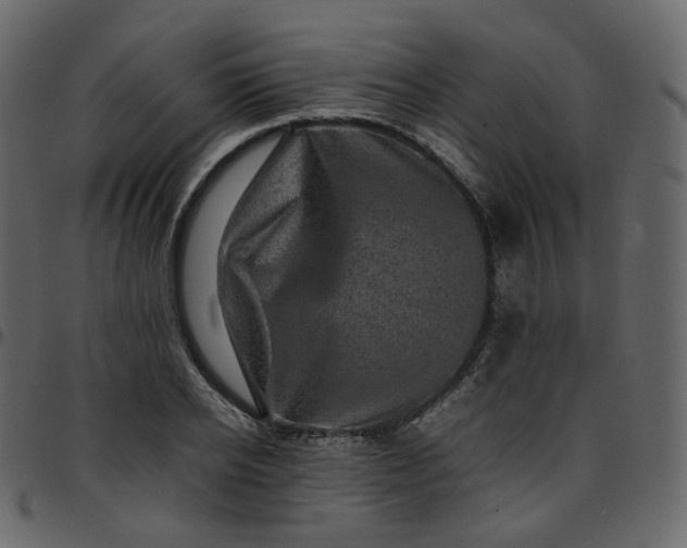 X0000095690934200801221244