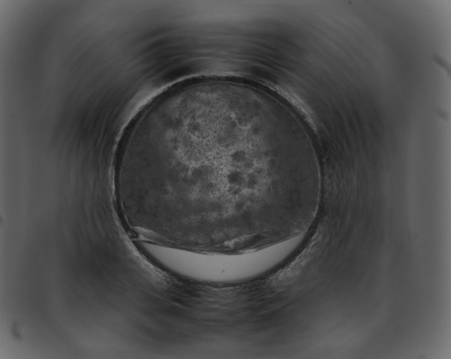 X0000095690935200801221244