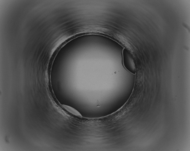 X0000095690936200801221244