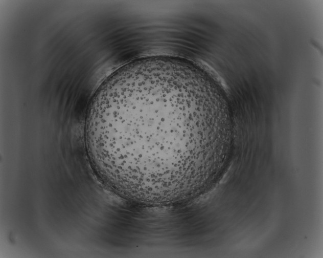 X0000095690937200801221244