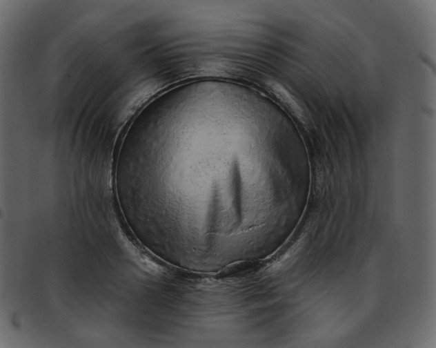 X0000095690938200801221244