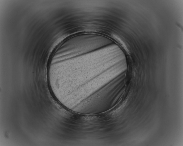 X0000095690939200801221244