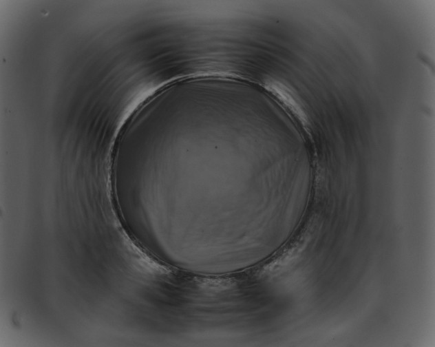 X0000095690941200801221244