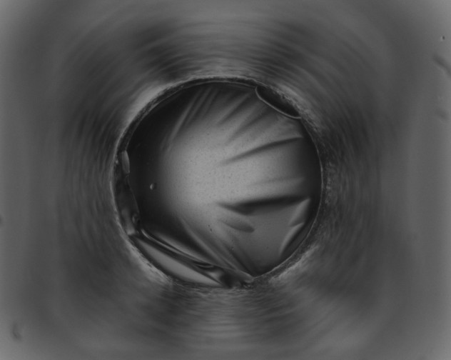 X0000095690942200801221244