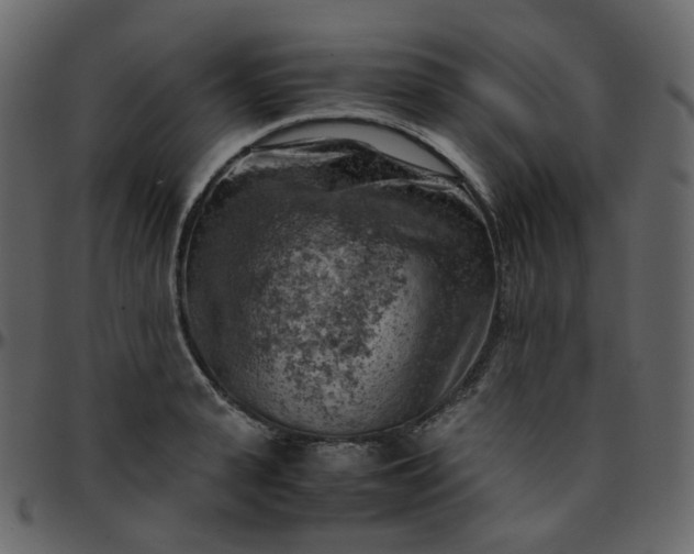 X0000095690943200801221244