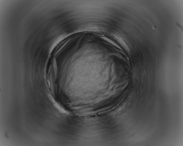 X0000095690944200801221244